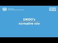 Unidos normative role