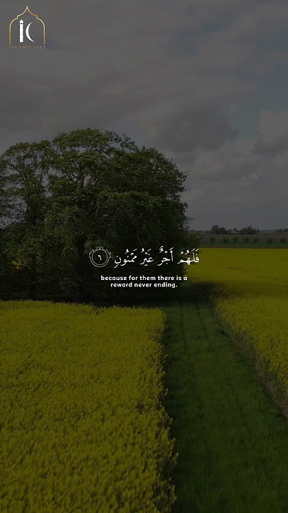 Beautiful Quran recitation by Islam Sobhi | Surah At-Tin #quran #islamsobhi