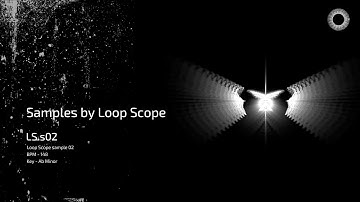 Samples by Loop Scope - LS.s02