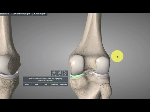 Video: Interne Meniscus Van Het Kniegewricht - Oorzaken, Symptomen, Diagnose En Behandeling Van Schade Aan De Interne Meniscus