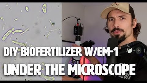 DIY Biofertilizer with EM-1 Under the Microscope with Matt Powers