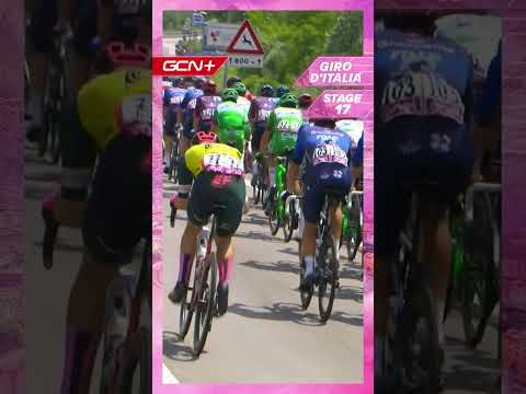 Video: Velosipēda zādzības dēļ komanda Paule Ka izstājas no Giro dell'Emilia