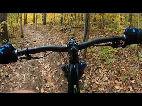 Fall at the SCMBC Trails Oct 13 2020