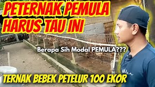 KHUSUS PEMULA‼️MODAL AWAL TERNAK BEBEK PETELUR 100 EKOR - RHY 4 #ternak #bebek #rhy4