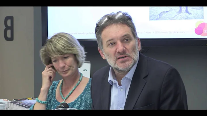 Carl Wesselink - Climate change & the post 2015 development framework