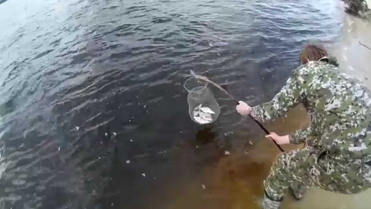рыбалка дубки 2016 рыбалка дубки 2016