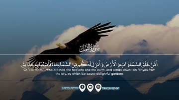 مقطع خاشع جدا 😞 من سورة النمل حتما ستبكي 😓 ll القارئ هاني العزوني 💙🌻