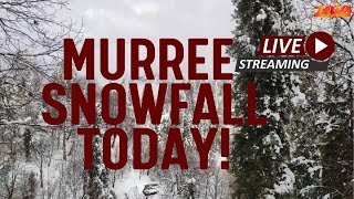 Heavy Snowfall in Murree Today | Live Scenic Beauty of Snowy Mountains