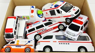 Box Full of Model Cars -Mazda Mx5, Koenigesgg Jesko, Lamborghini Scv12, Byd Yang Wang U8, Toyota Car