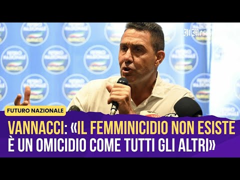 Video Vannacci: «Il femminicidio non esiste, reato specifico non serve»