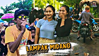🟡LAMPAK MIDANG (MUGUD) - KECIMOL SONATA