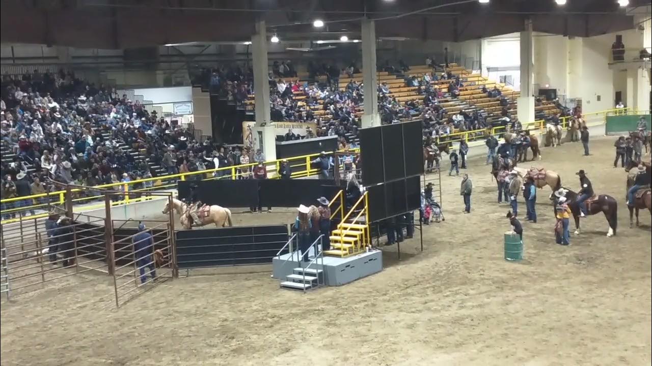 2022 Winnemucca Ranch Hand Rodeo Horse Sale Lot 9 Mobsters Hideout