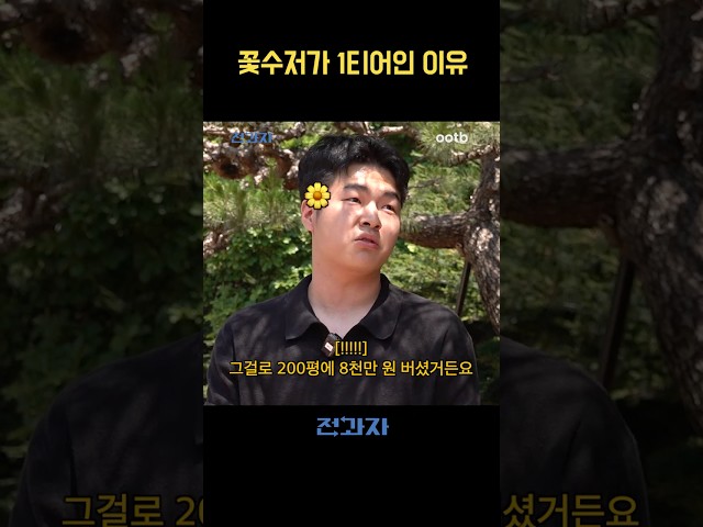 꽃수저가 1티어인 이유