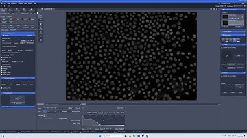 How to SNAP image using ZEN pro #zeiss #microscope #motorizedmicroscope #zen