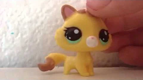 For The Lps Divas!