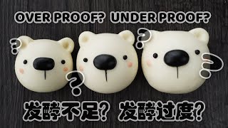 What is under-proof and over-proof? 发酵过度？发酵不足？完美发酵！(CC | 中英字幕)