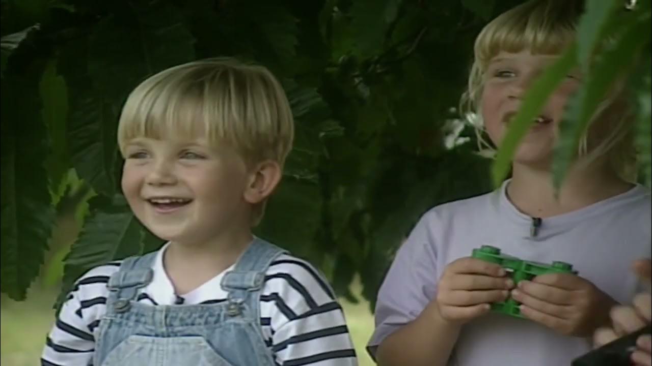 Looking For Rabbits (Teletubbyland Version) YouTube