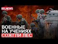 Масштабный лесной пожар на военном полигоне под Ружанами / BelNews