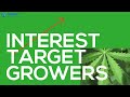 Cannabis growers email database  lead generation  the hub club