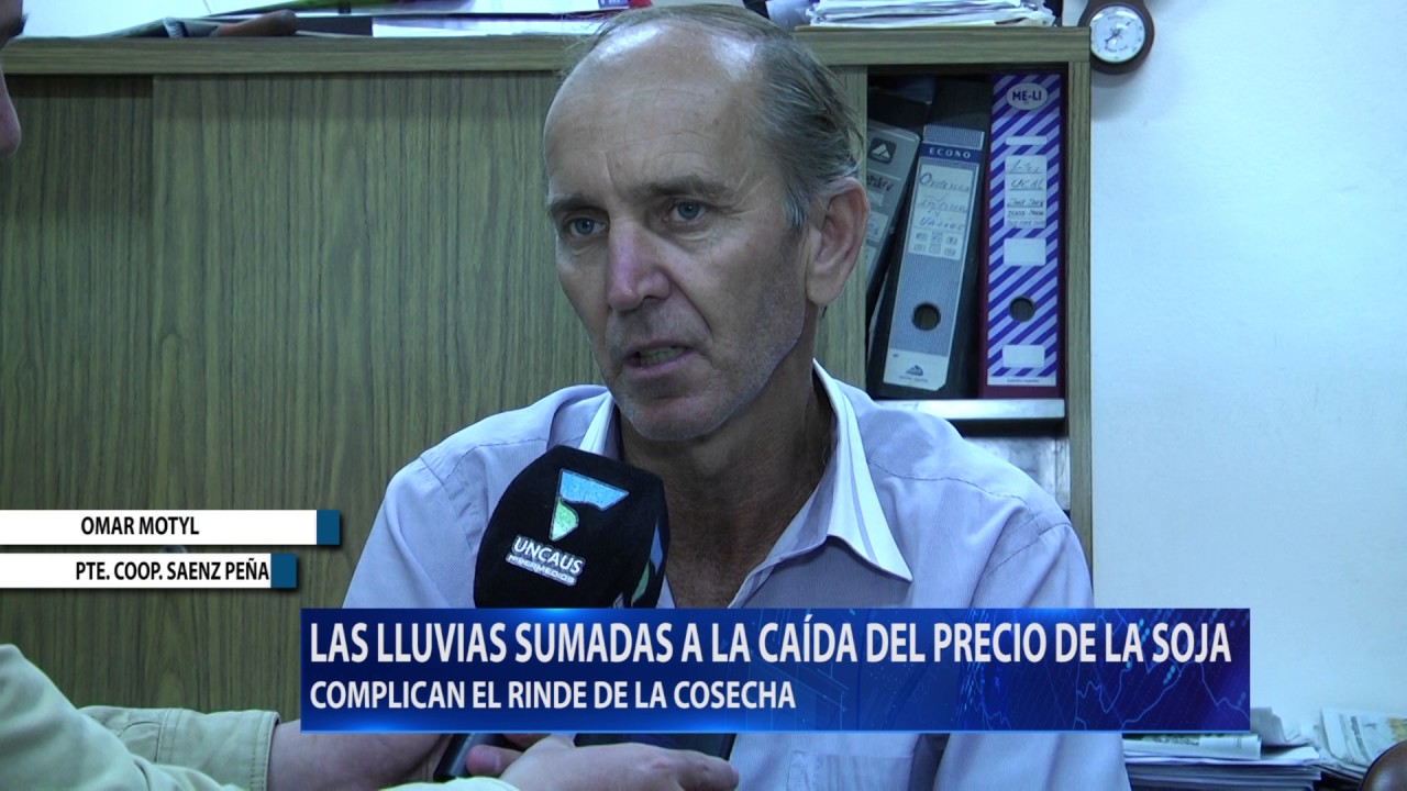 OMAR MOTYL LAS LLUVIAS AFECTAN LA COSECHA