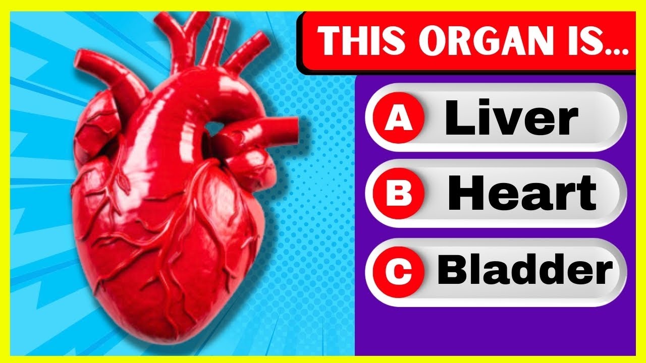 Can You Pass This Human Body Test ? ️General Knowledge Quiz Human Body ...
