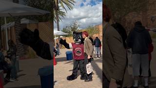 Details 2026 Preview Day! 🐾✨ News