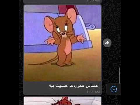 عندي سوال وجاوبني عليه