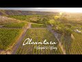 Alcantara Vineyard & Alcantara Adventures