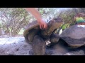 Middle of video