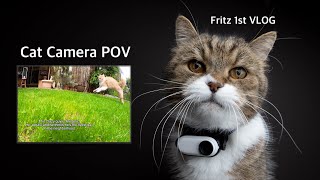 Cat with Camera | Fritz' first VLOG by FurryFritz - Catographer 13,095 views 11 months ago 1 minute, 49 seconds