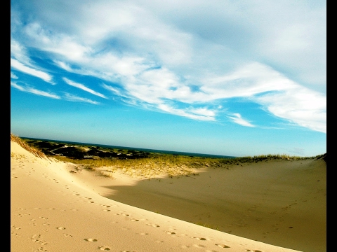 Video: Saib Cape Cod Sand Dunes nrog Art's Dune Tours