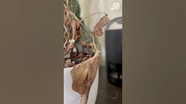 How to Test Soil Acidity & Nitrogen Deficiency | Garden Hack