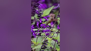 تلاوة خاشعة جميلة للقاري محمد المقيط/طبيعة وطيور /جودة عالية(لا إله إلا الله محمد رسول الله