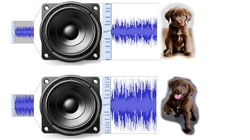 Audio Mastering basics: core concepts and Audacity setup