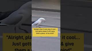 This birb is HANGRY 🐦 #shorts