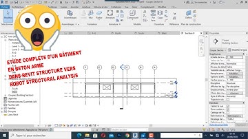 TUT0-REVIT STRUCTURE VERS ROBOT STRUCTURAL ANALYSIS 2021: MODELISATION D