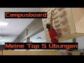 Meine Top 5 Campusboard Übungen