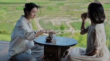 listen to the quiet between the leaves.../a relaxing mood playlist/