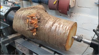 Woodturning  A Cherry Log