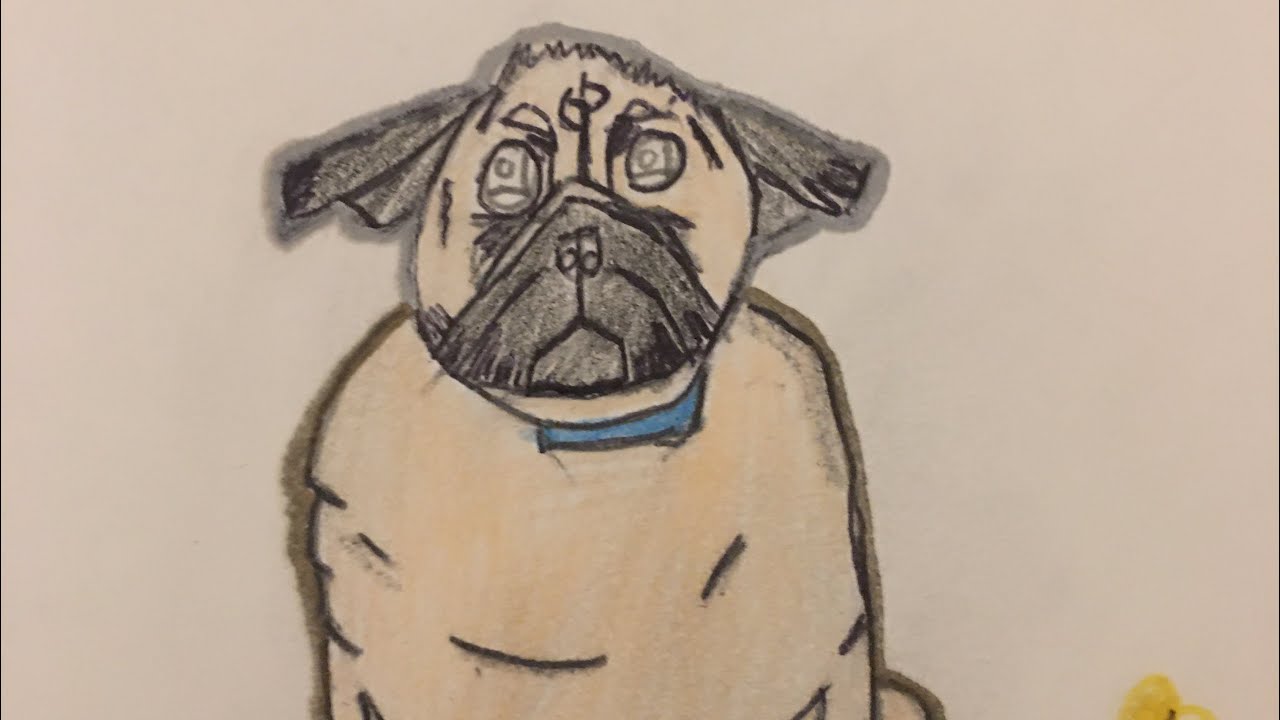 How To Draw A Pug How To Draw A Cool Dog Drawing Youtube