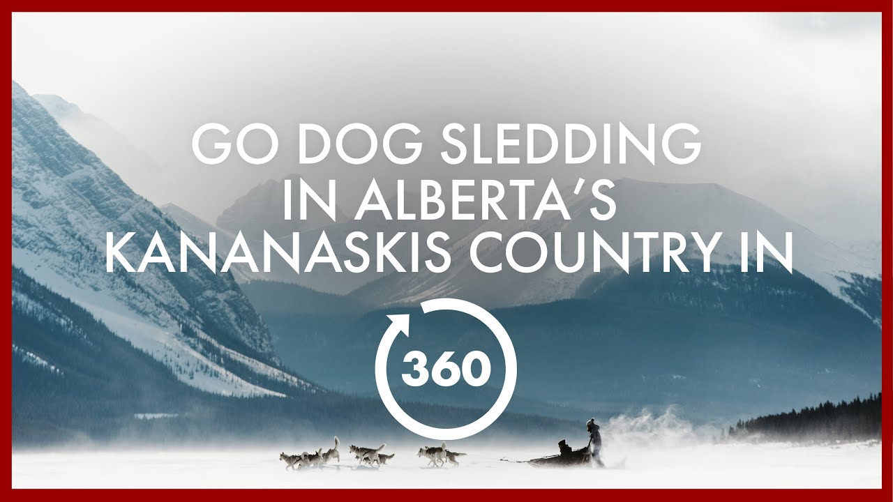 Feel the thrill of dog sledding in this 360° video.