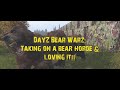 DayZ Bear Warz: Taking on a bear horde!