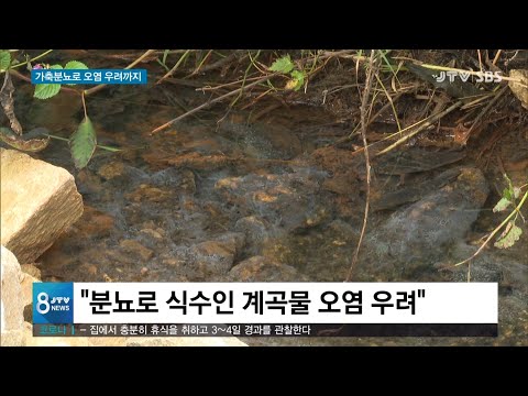 [JTV 8 뉴스] 가축 분뇨...악취에 <strong>식수원</strong> 오염 우려까지