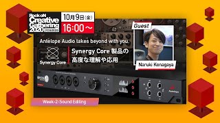 Antelope Audio takes beyond with you. [Synergy Core 製品の高度な理解や応用]