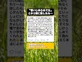 「私がいたらママを一人にしない」孤独だった私を救った小1娘の言葉。時を超えて心が抱きしめられた瞬間…😭 #感動する話 #育児