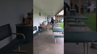 Flathead County Sheriff K9 Demonstration