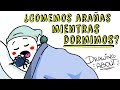 ¿COMEMOS 8 ARAÑAS AL AÑO MIENTRAS DORMIMOS? 🕷 | Draw My Life