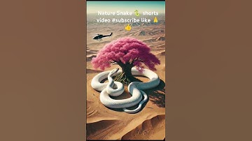 Nature Snake 🌴 and feel the sound 📢 Amazon Old and Big Snake🐍 Tree 🌲 and mountain 🗻 Nature🌿 snake 🙏👍