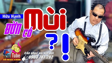 Ai dám nói Bác Ngao Hữu Hạnh đờn như đại bác bắn không mùi chắc sẽ phải nghĩ lại!