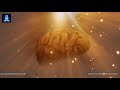 Unlock Your True Potential ✔ Hyper Gamma Binaural Beats ✔ Genius Brain Frequency